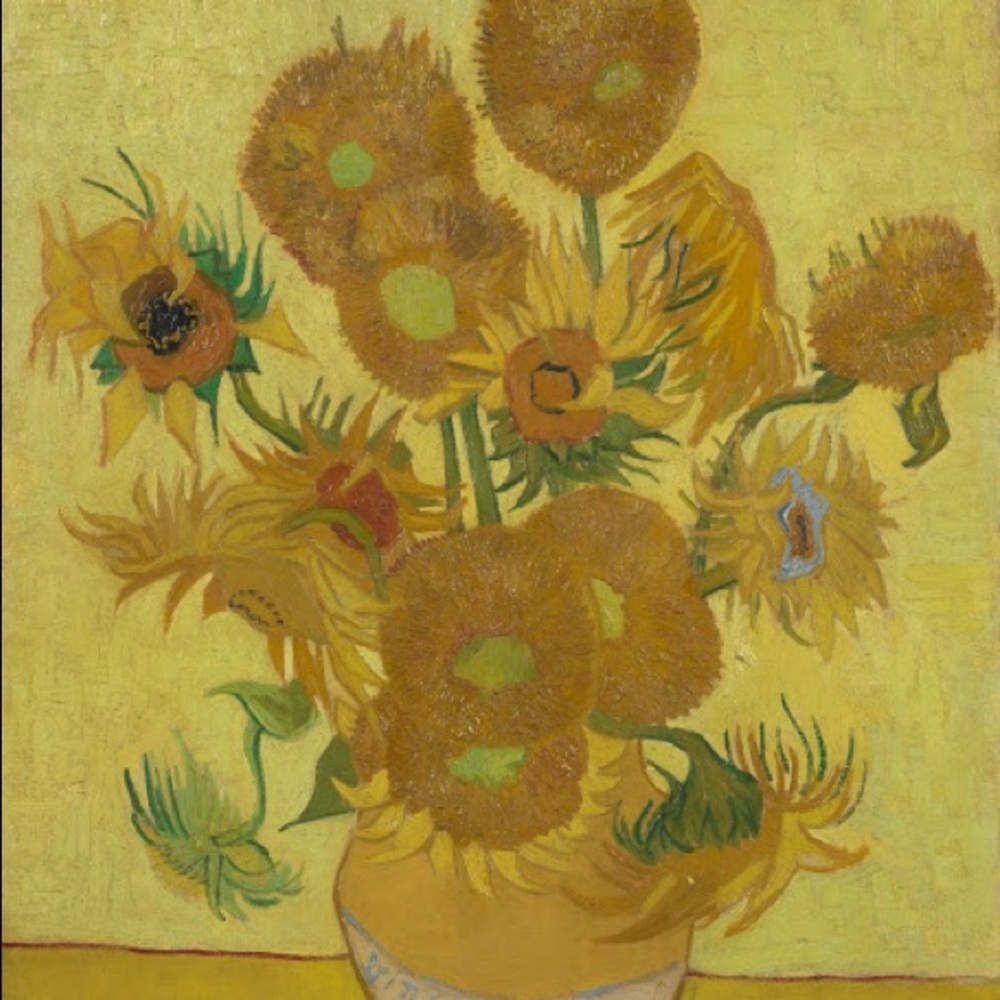 Vans x Vincent Van Gogh Sunflower Sneakers - Picture 3 of 9